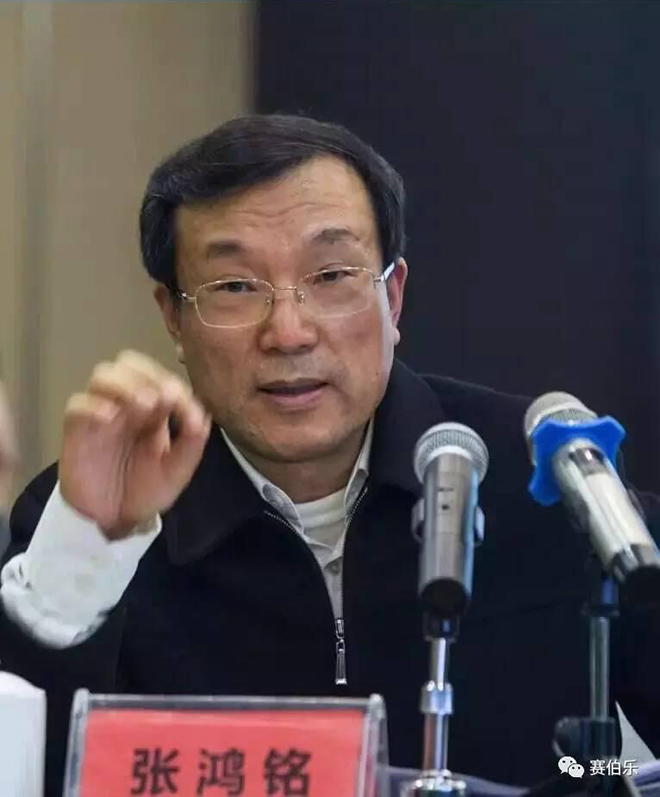 杭州市长张鸿铭考察建德赛伯乐航空小镇