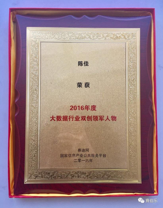 陈佳荣膺2016年度大数据行业双创领军人物奖