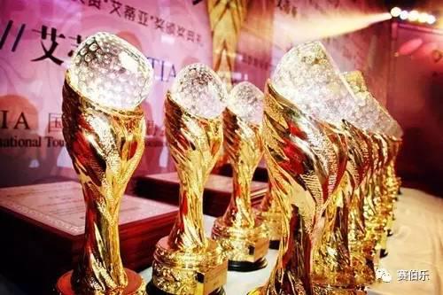 赛伯乐获第六届艾蒂亚奖中国最佳旅游金融机构奖提名