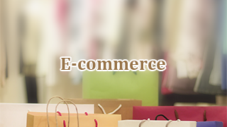 Cybernaut E-commerce Industry